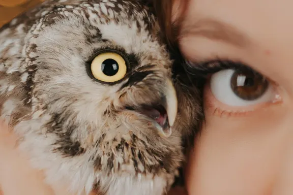 Казино Уелкъм Бинго Поддръжка